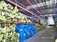 Cold-rolled συστήματα ραφιών παλετών υλικού χειρισμού αποθήκευση για τη βιομηχανία ιματισμού